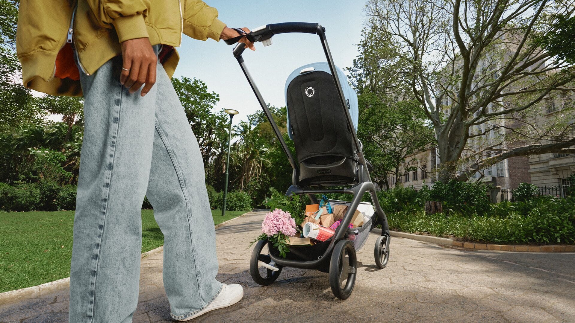 Bugaboo Dragonfly Stroller and Bassinet Complete