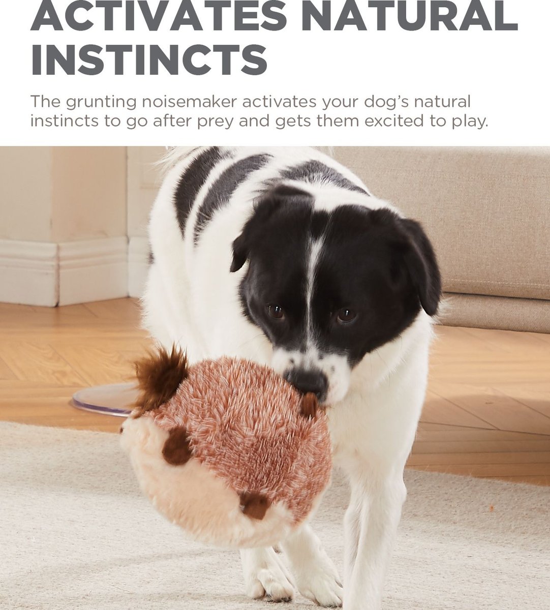 Outward Hound Jumbros Guinea Pig Grunting Ball Dog Toy， Brown， Medium