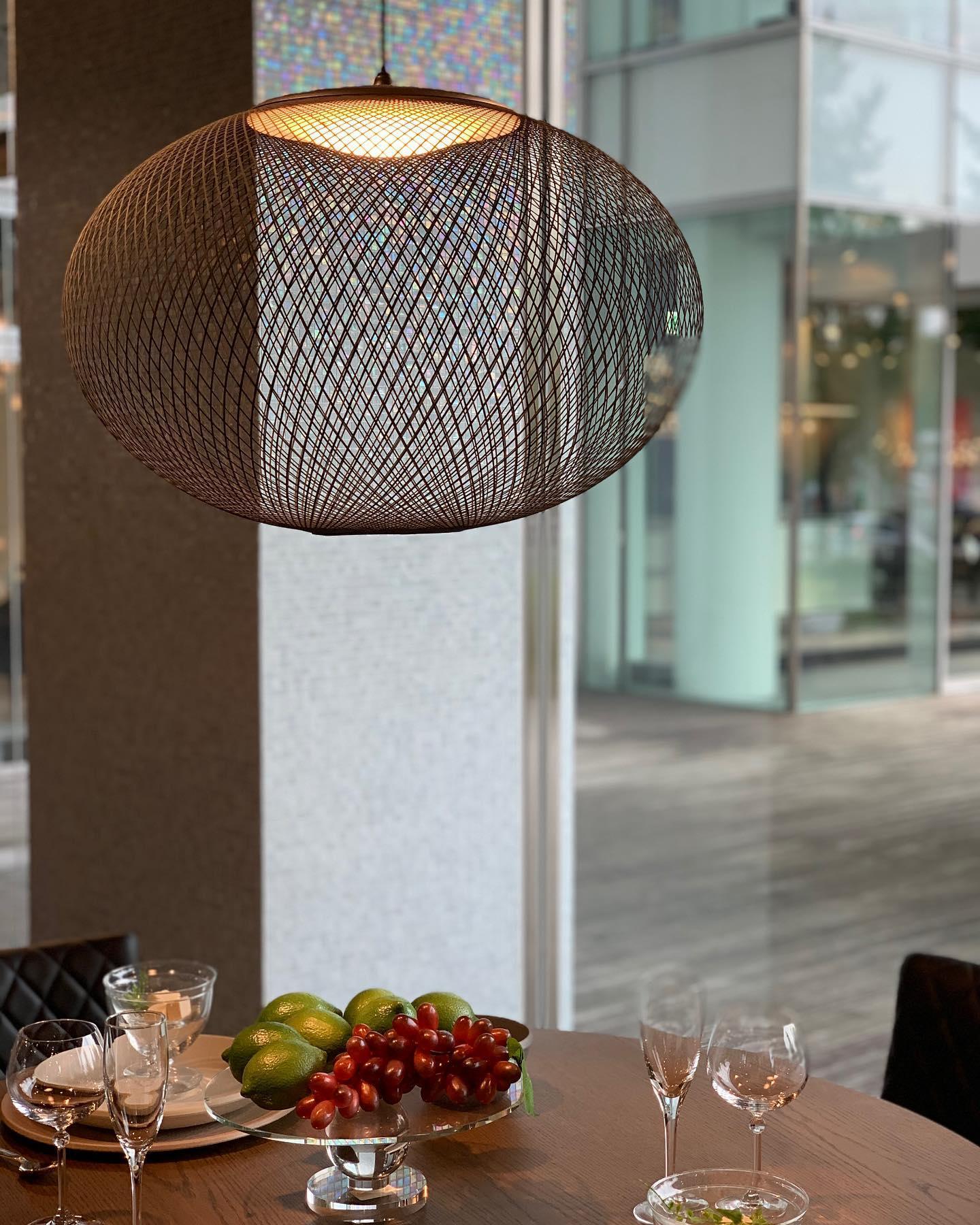 Metallic Meshwork Pendant Lamp