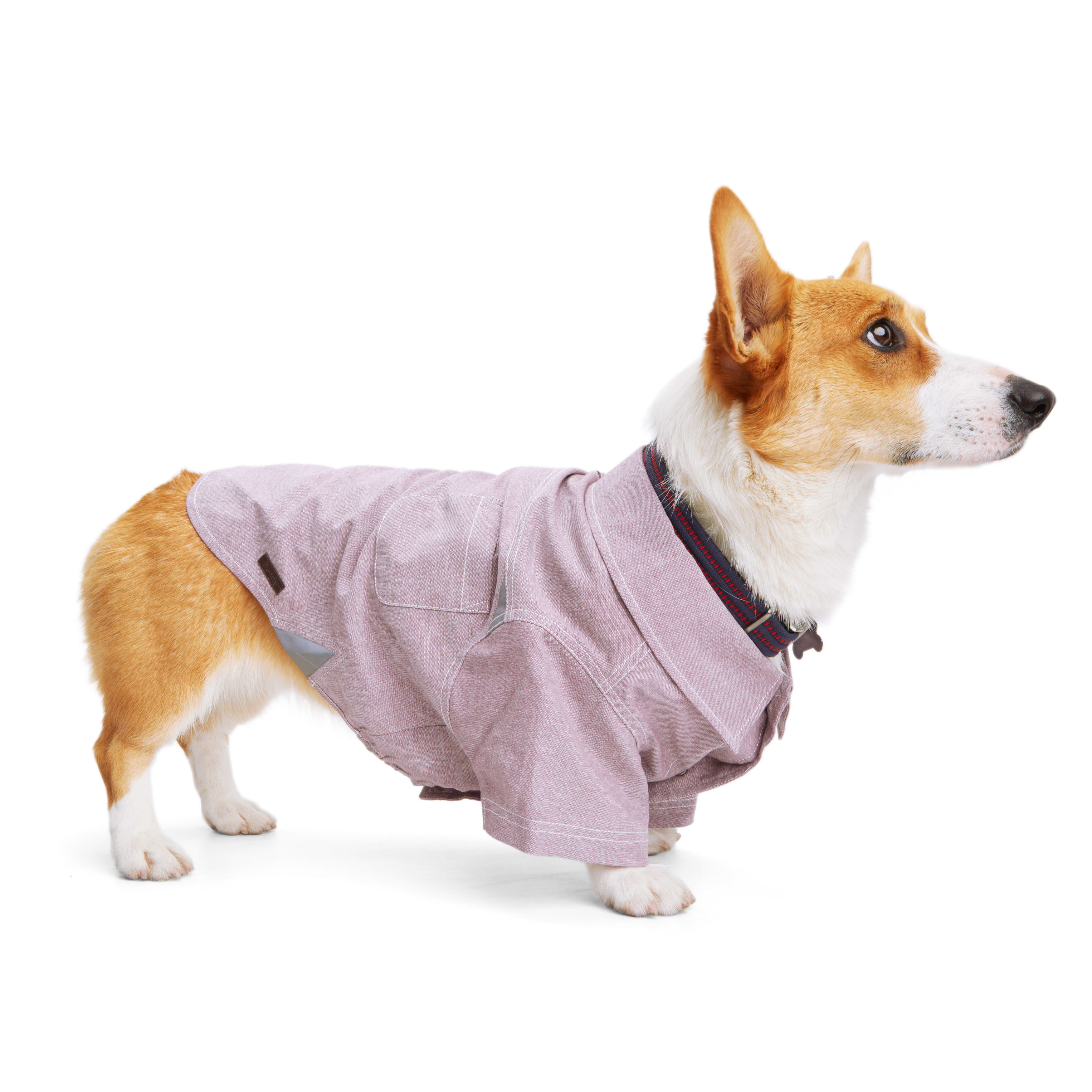 Reddy Burgundy Woven Chambray Top for Dogs， X-Small