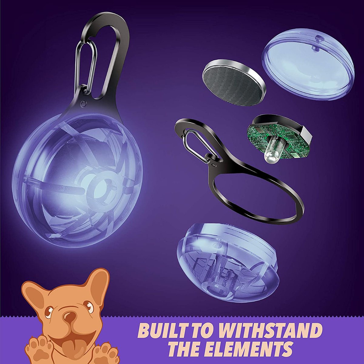 Ruff 'N Ruffus Tangle-Free Retractable Dog Leash and Bonus Contents