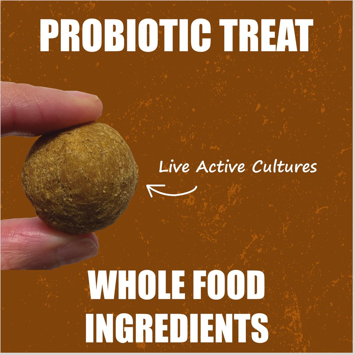 Whole Life Living Treats Peanut Butter Flavor Freeze-Dried Dog Treats