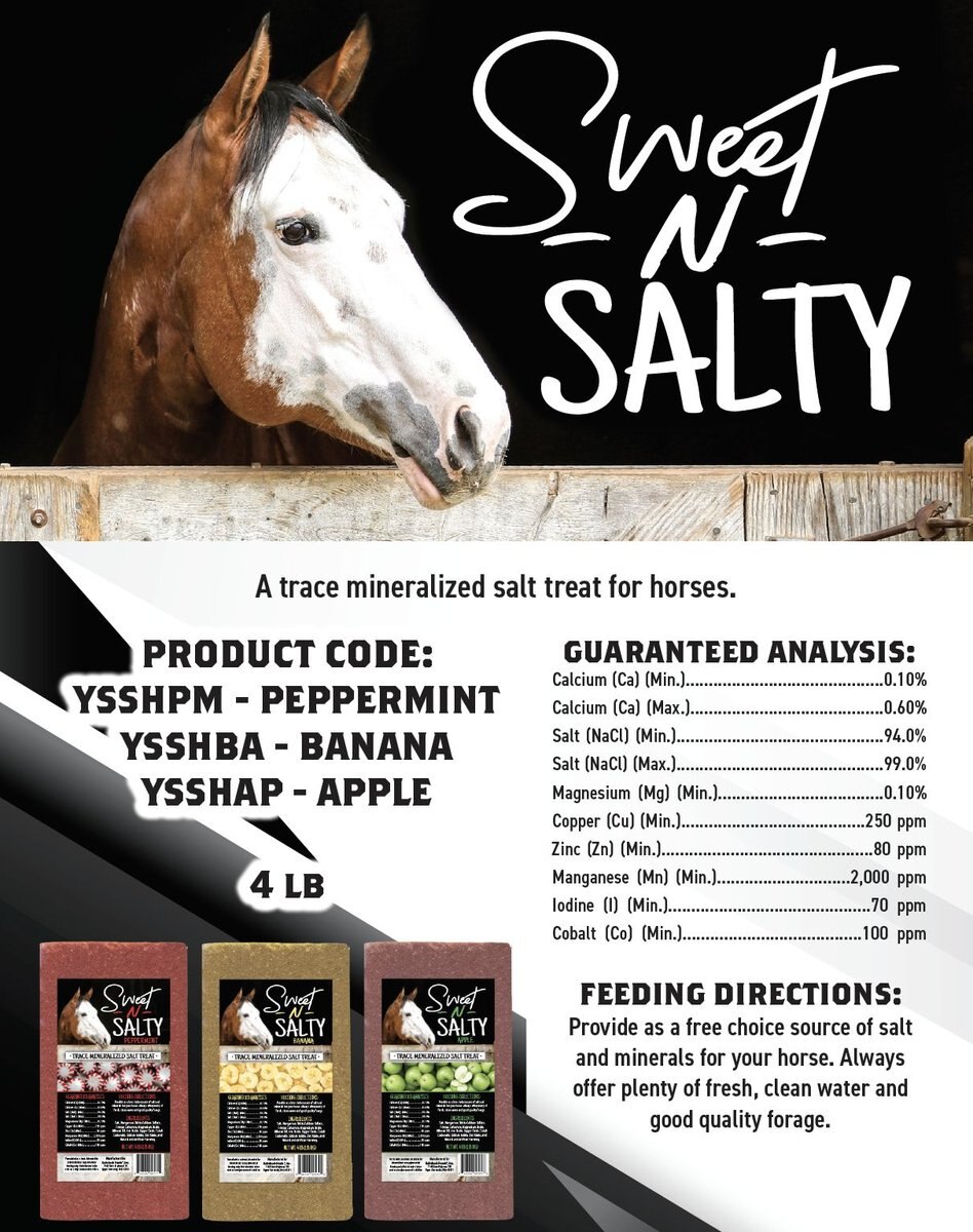 Kalmbach Feeds Sweet N Salty Peppermint Flavored Horse Salt Treat， 4-lb brick