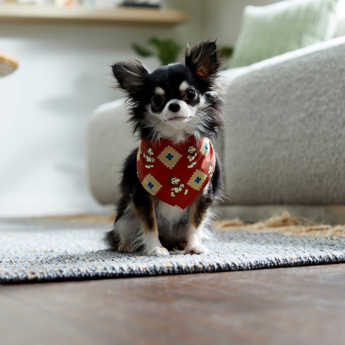 Disney Mickey Mouse Southwest Patterned Dog and Cat Bandana