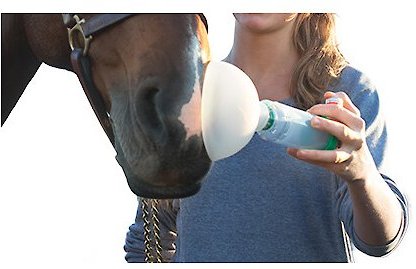 Trudell Medical International AeroHippus Equine Aerosol Chamber