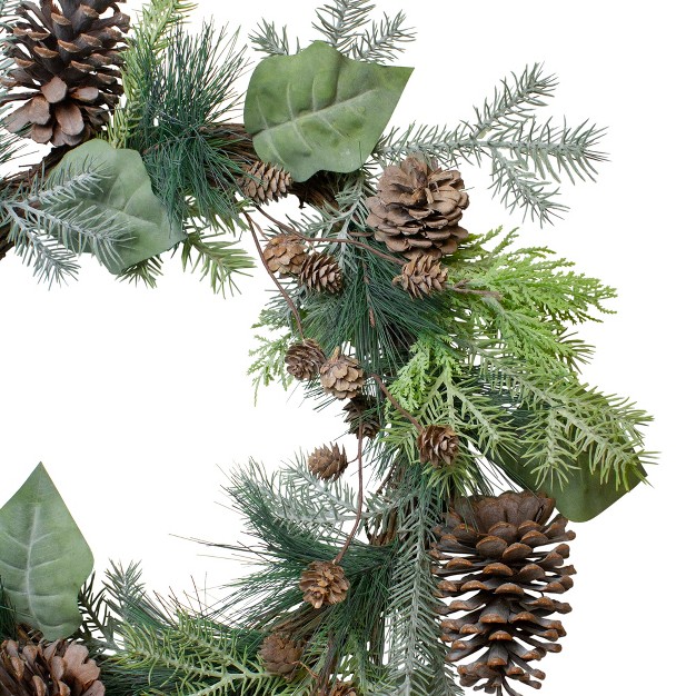 Northlight Pine Cone And Cedar Artificial Christmas Wreath 20 inch Unlit