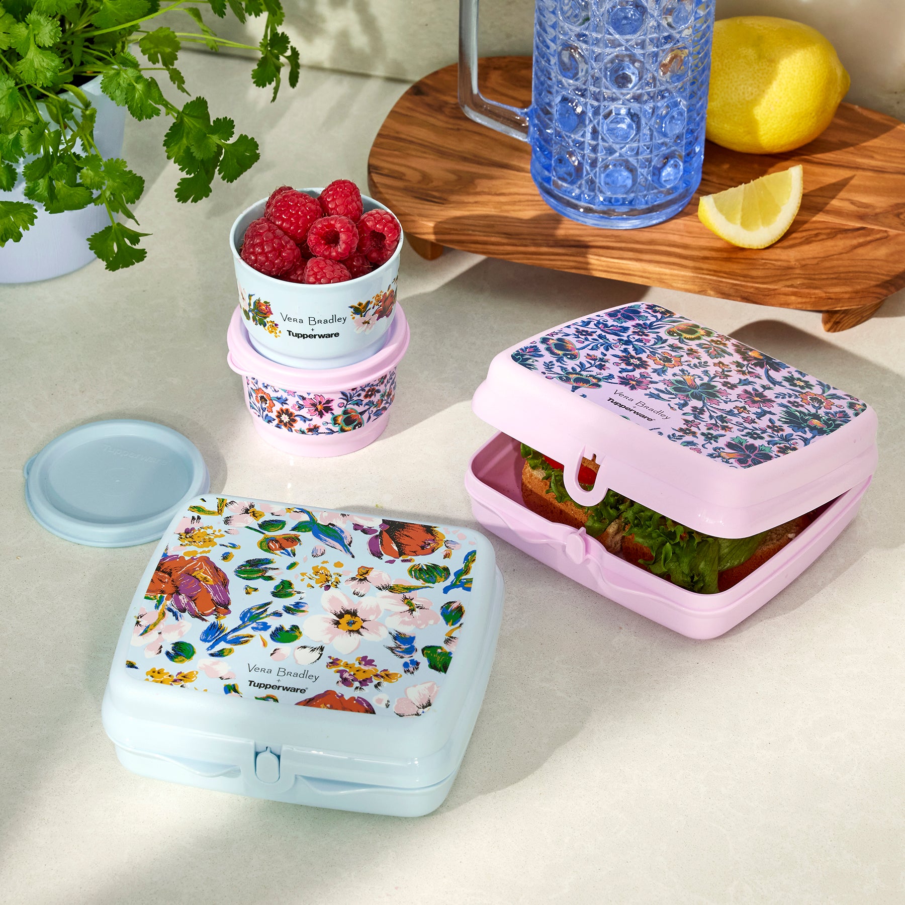 Tupperware? Sandwich Keeper