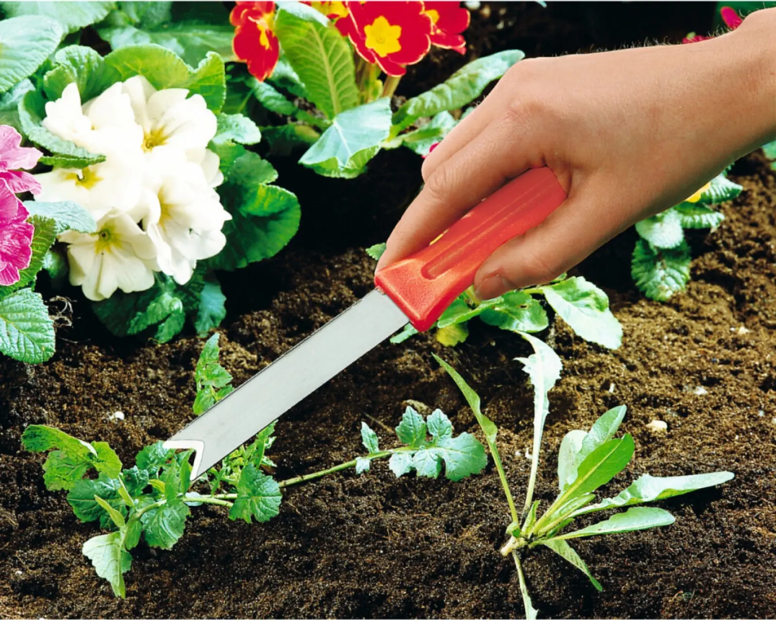 Garden Hand Tool Grass Weeder Garden Cropper Weed Cutter Hay Knife with Plastic Handle