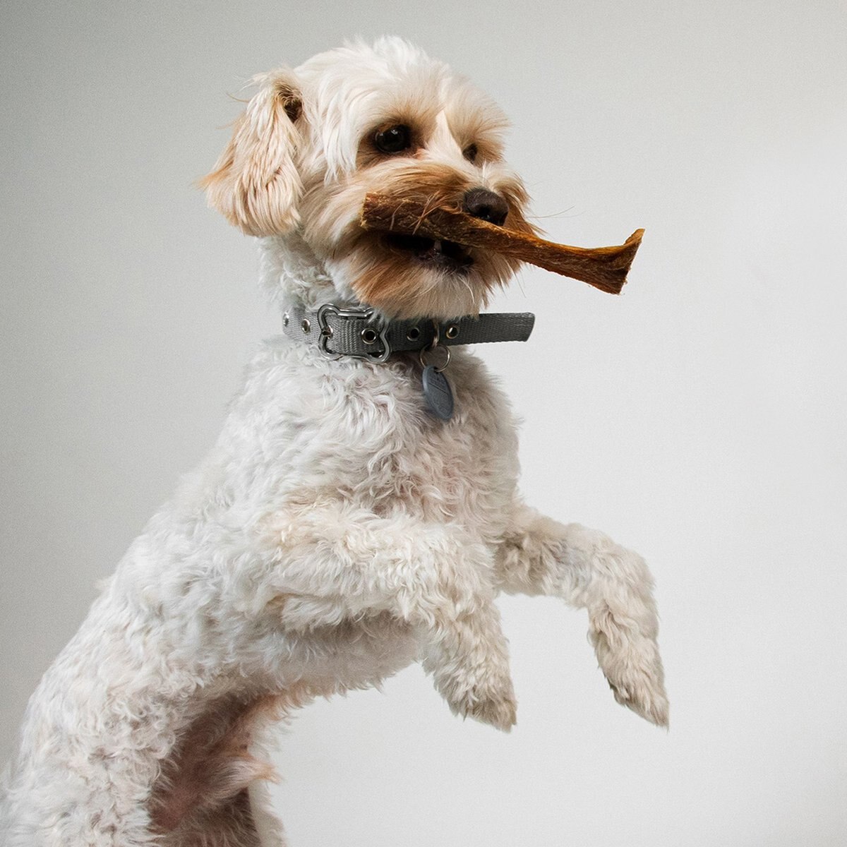 Pupford Beef Jerky Dog Treats