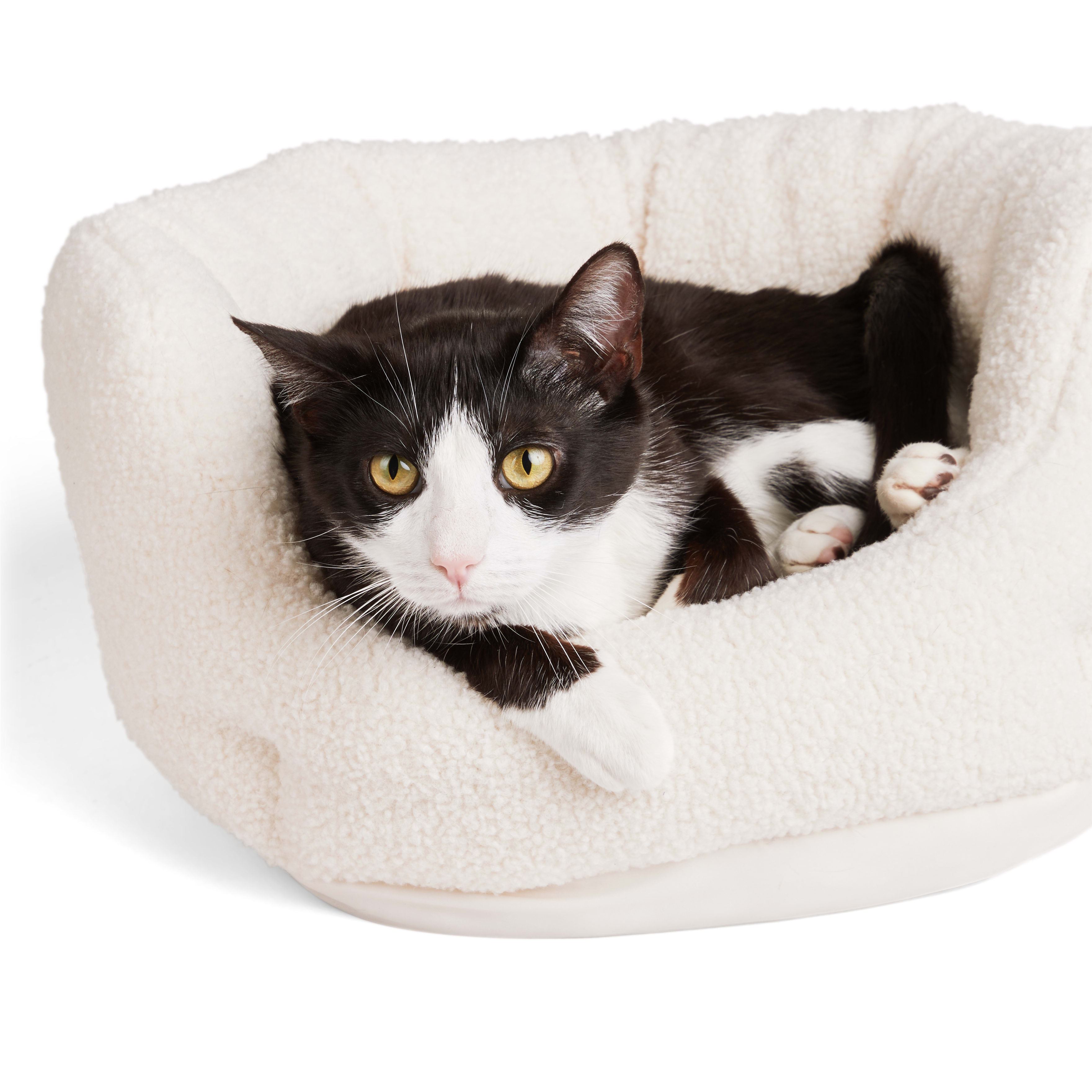 EVERYYAY Ivory Boucle Cuddler Cat Bed， 17