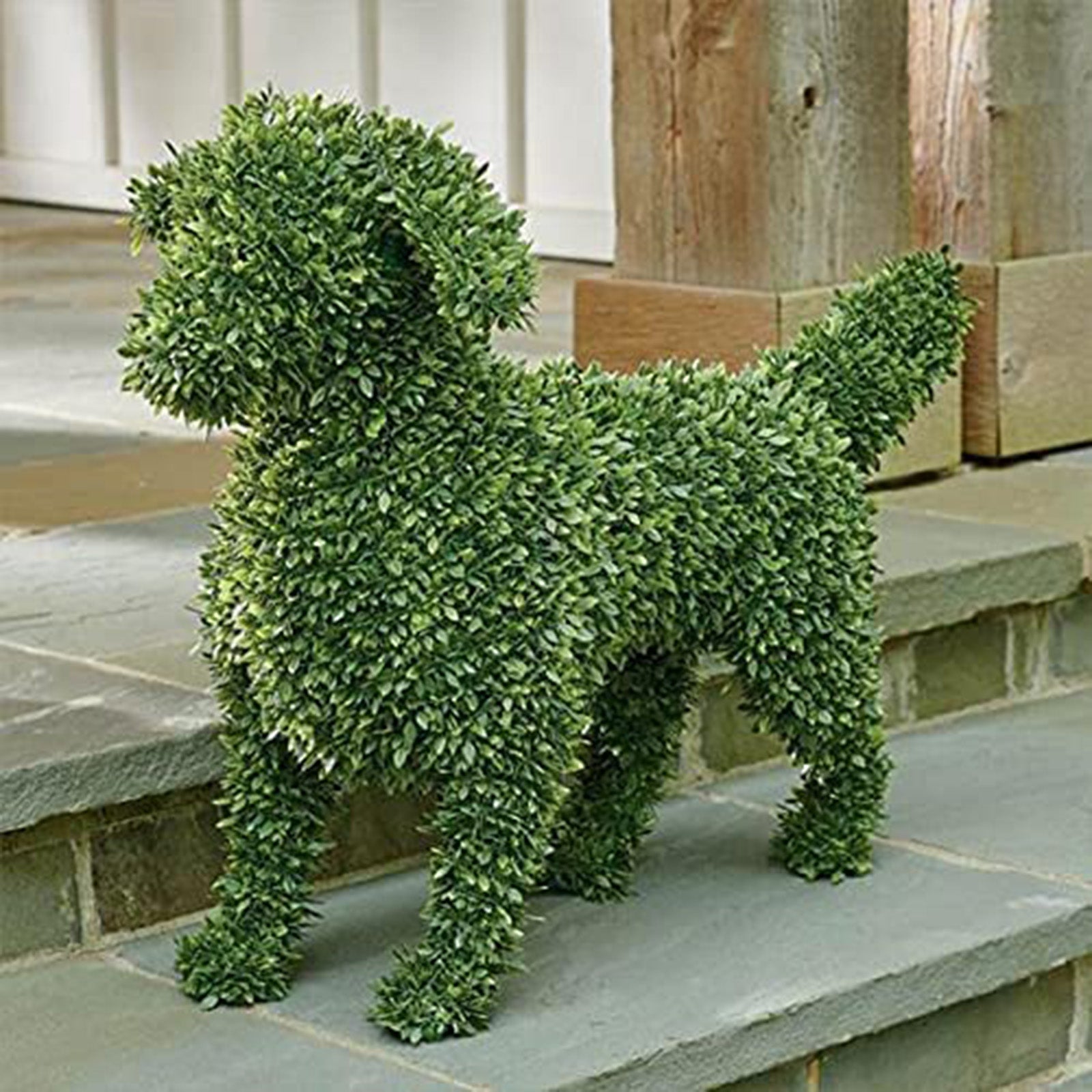 Loliuicca Garden Decor Dog Statue,Faux Boxwood Peeing Dog Topiary Outdoor Decor for Patio Yard Lawn Ornaments Garden Art