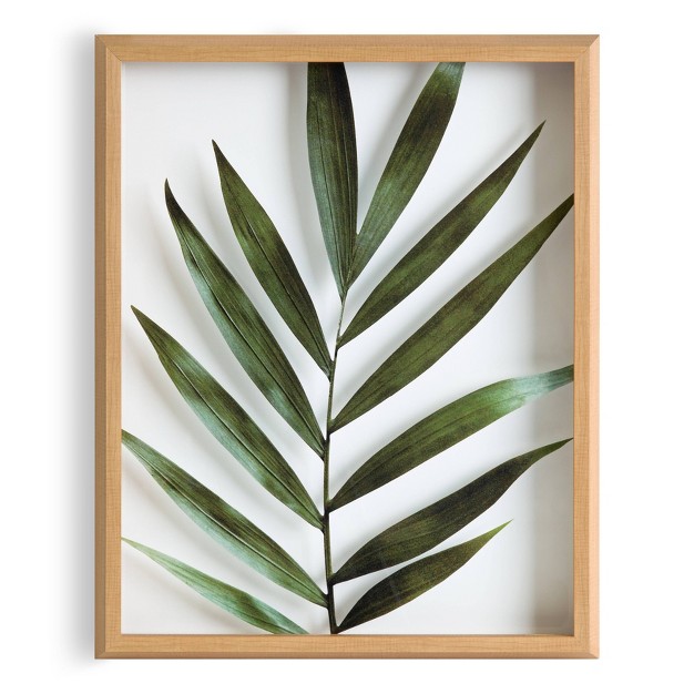 X 20 quot Blake Botanical 5f Framed Printed Glass By Amy Peterson Natural Kate And Laurel