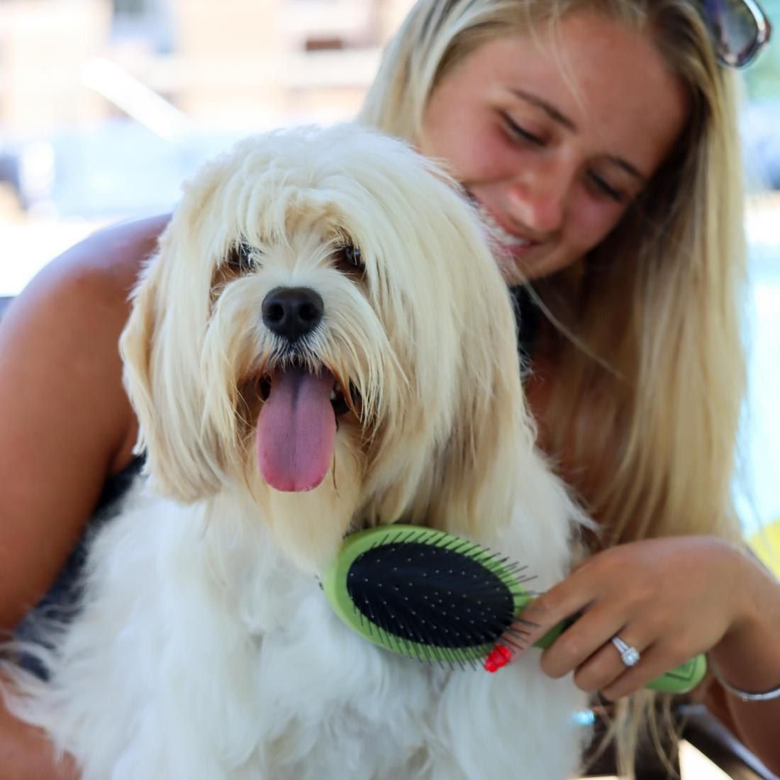 Safari Combo Brush for Dogs