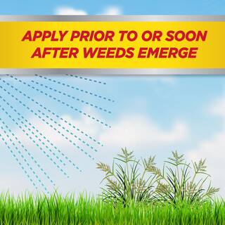 IMAGE 32 oz. Ready-To-Spray Nutsedge Killer 100099407