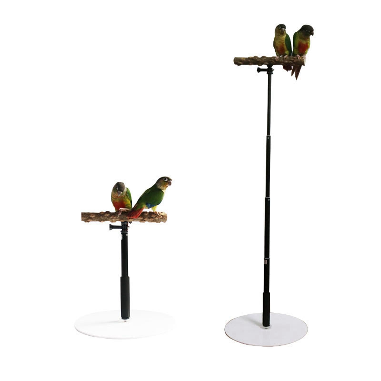 2x Wooden T Stand Parrot Training Playing Cage Bird Perch for Conures Cockatiel