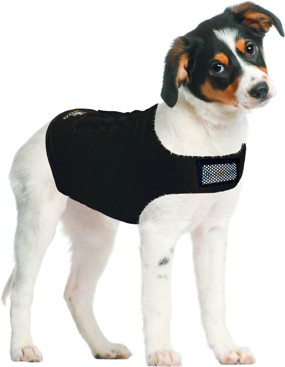 ZenPet Anxiety Vest for Dogs