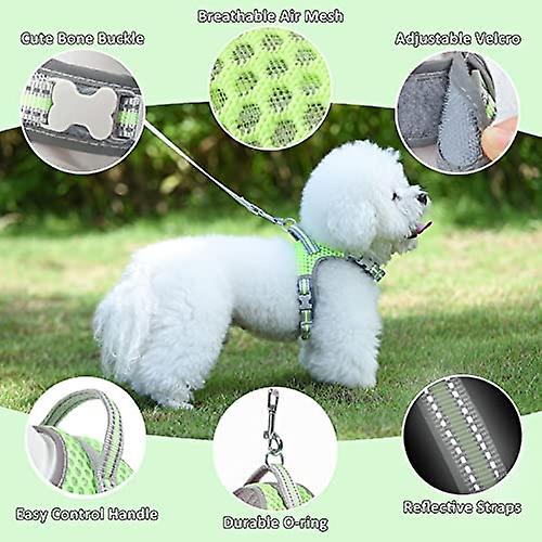 Dog Harness And Leash Set， No Pull Harness For Small Dogs And Cats， Air Mesh Harness With Easy Control Handle And Adjustable Strap， Ideal For Outdoor