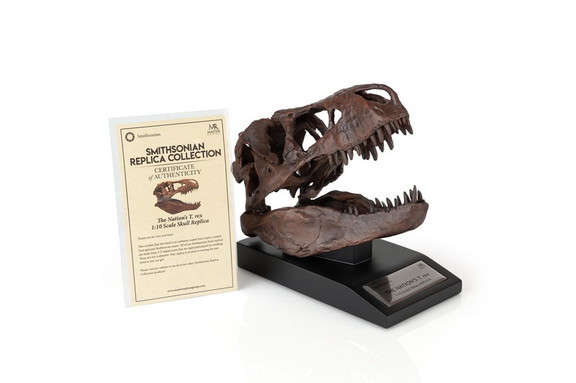 The Nation's T Rex Skull Statue  6 Inch Smithsonia...