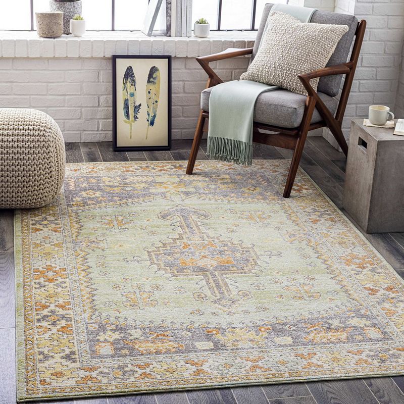 Balk Traditional Area Rug