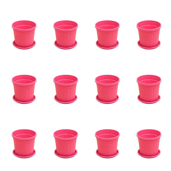 4 inch (10 cm) Grower Round Plastic Pot