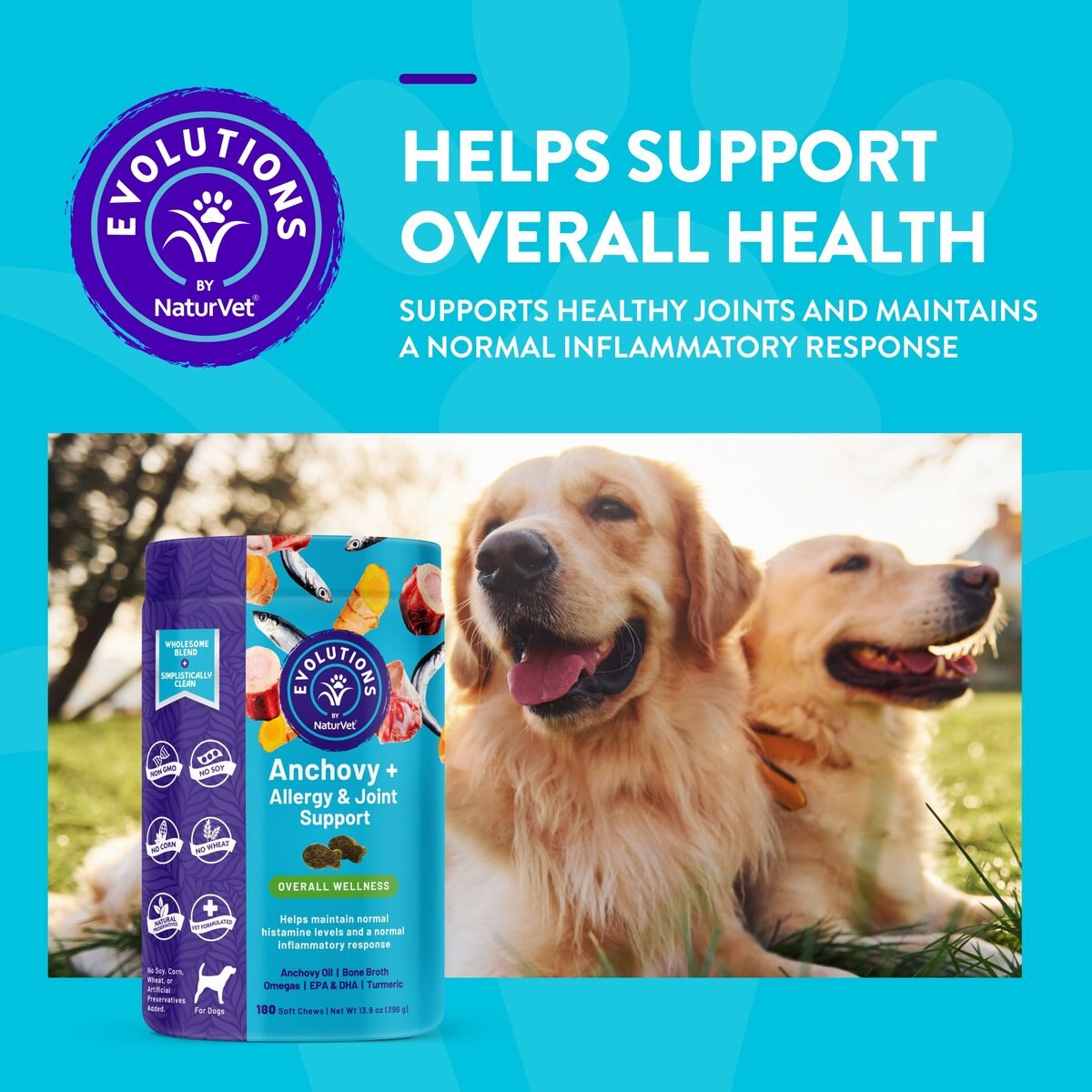 NaturVet Evolutions Anchovy + Allergy Support Soft Chews Dog Supplement