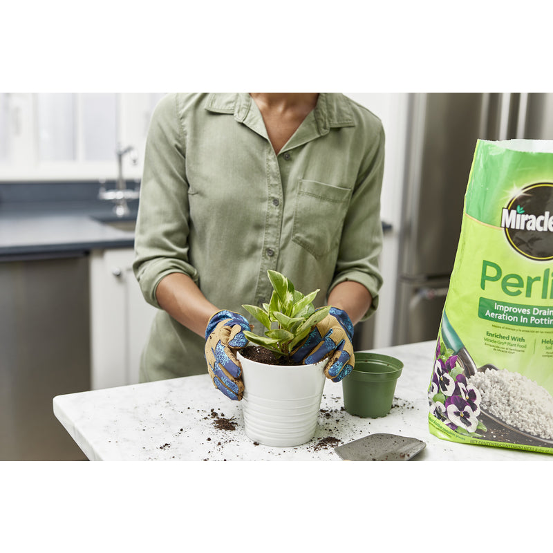 MG PERLITE 8 QT