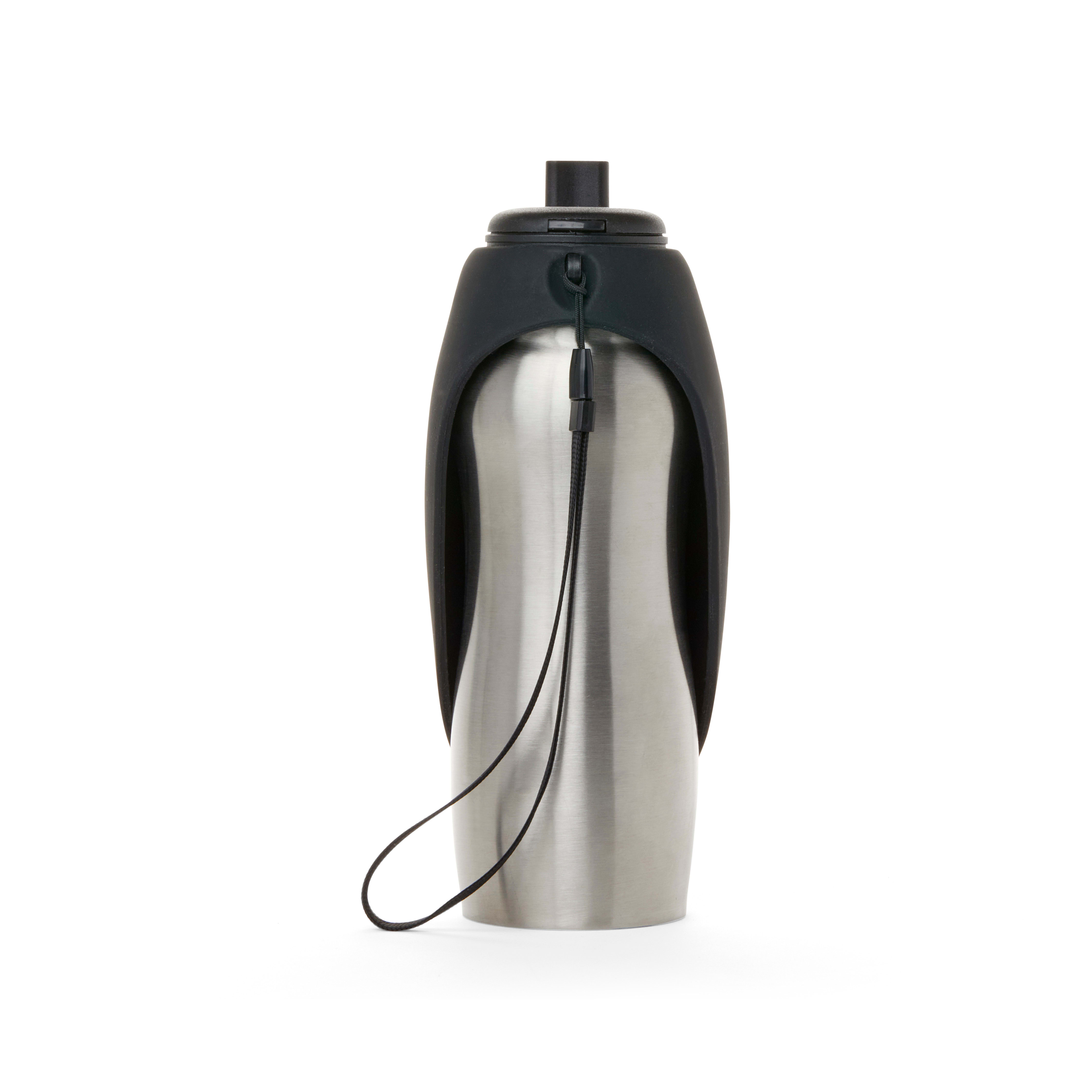 EveryYay Wet Your Whistle Black Stainless-Steel Water Dispenser for Dogs