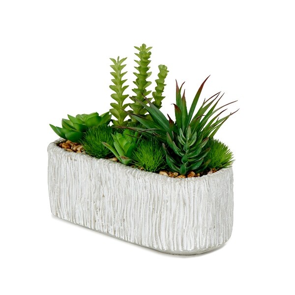 Succulents in Oblong Cement Planter