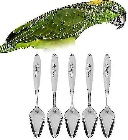 5pcs Parrot's Milk Powder Stainless Steel Spoon For Pet Birds Feeding Spoons