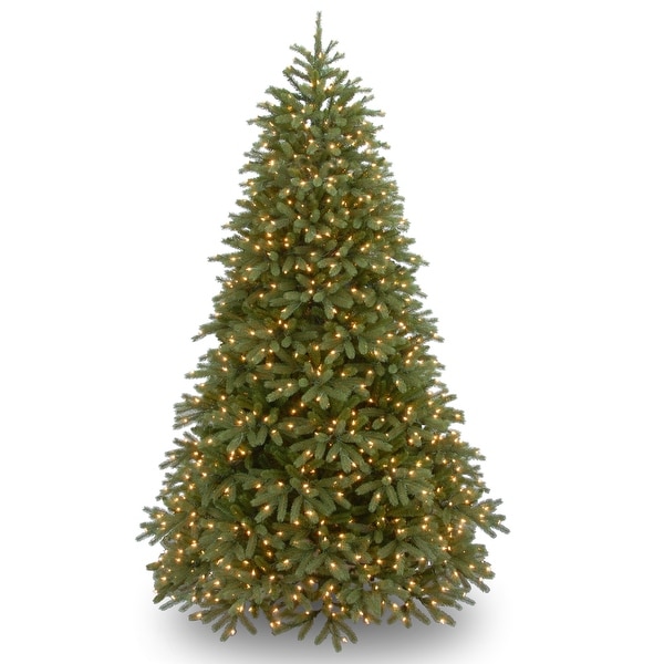 National Tree Company 6.5 ft. Jersey Fraser Fir Medium Tree with Clear Lights