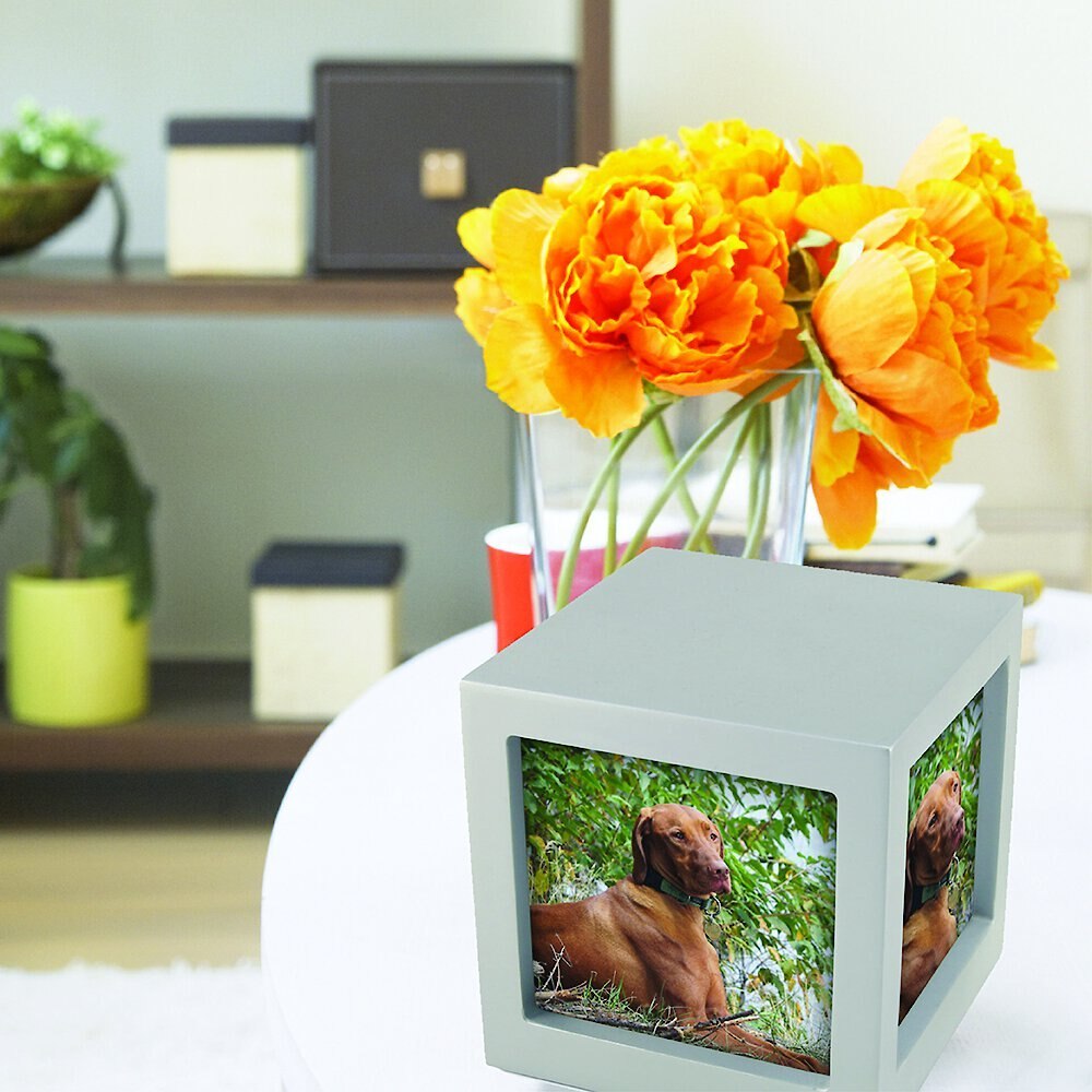 A Pet's Life Pet Photo Cube