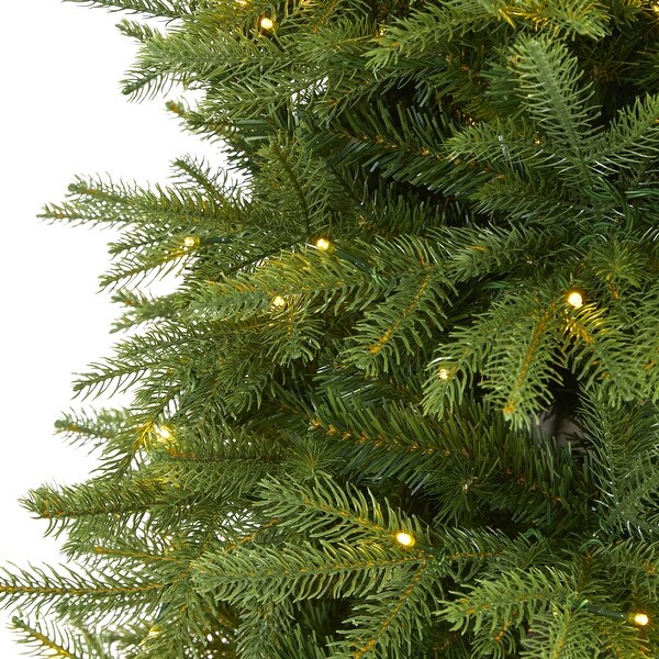 6.5' Vancouver Fir Natural Look Christmas Tree with 400 Clear LED