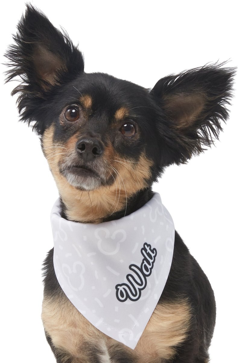 Disney Mickey Mouse Streetwear Personalized Dog and Cat Bandana