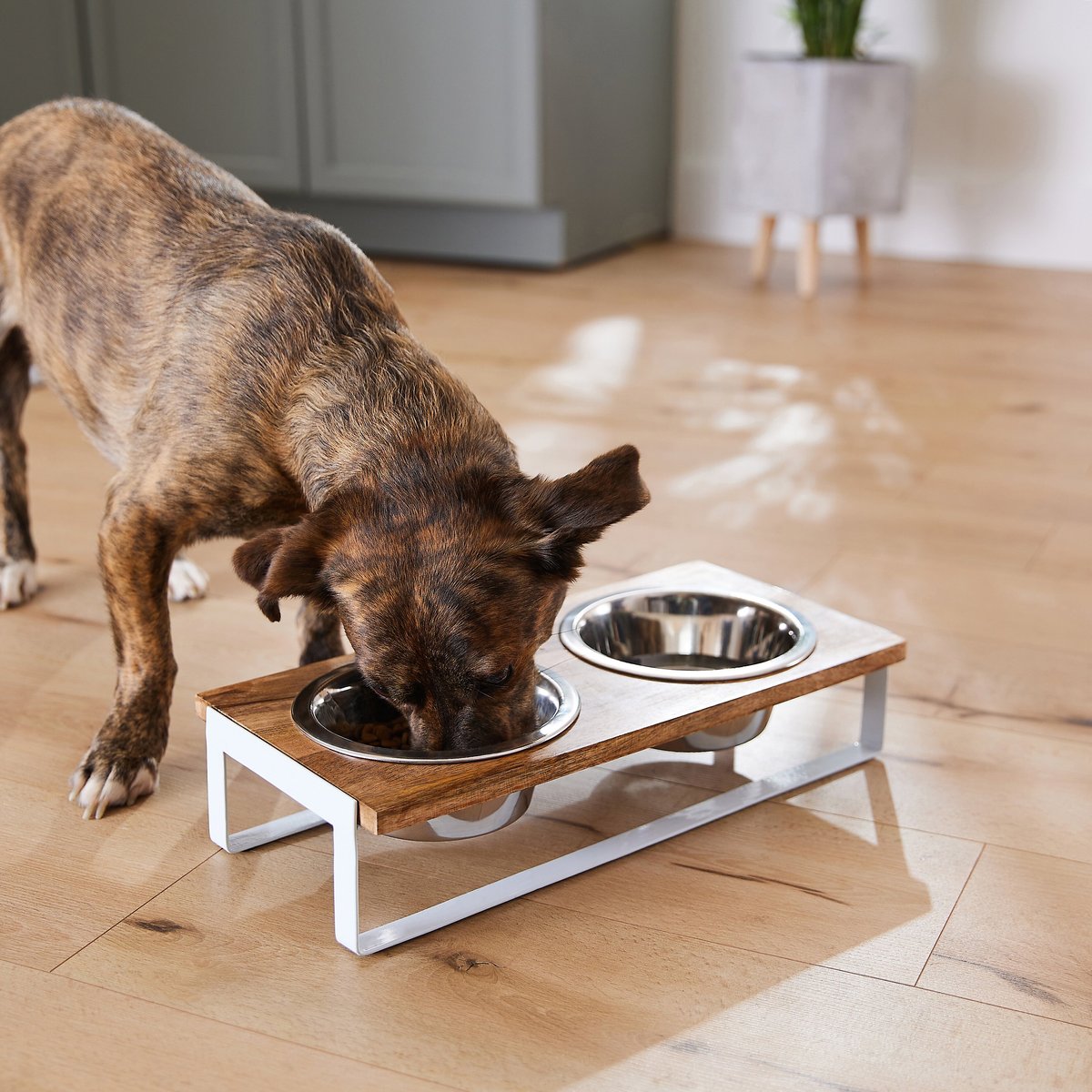 Frisco Wood Elevated Non-Skid Stainless Steel Double Diner Dog and Cat Bowl