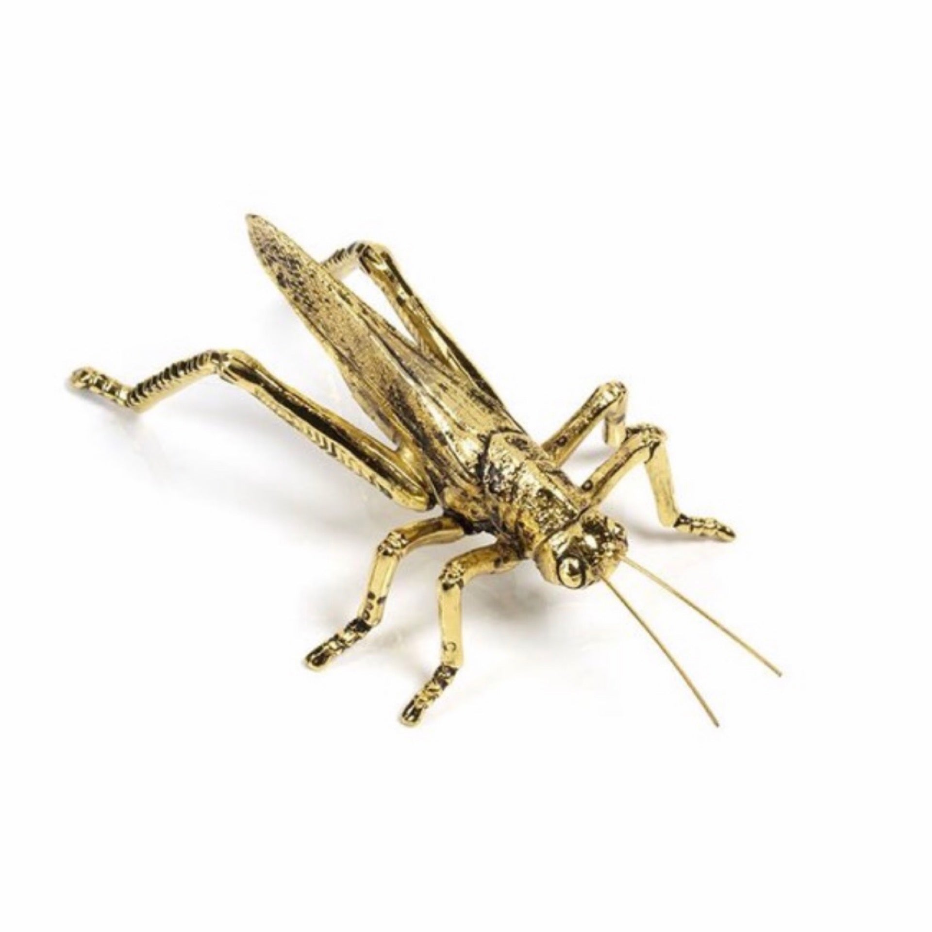 Decorative Gold Grasshopper