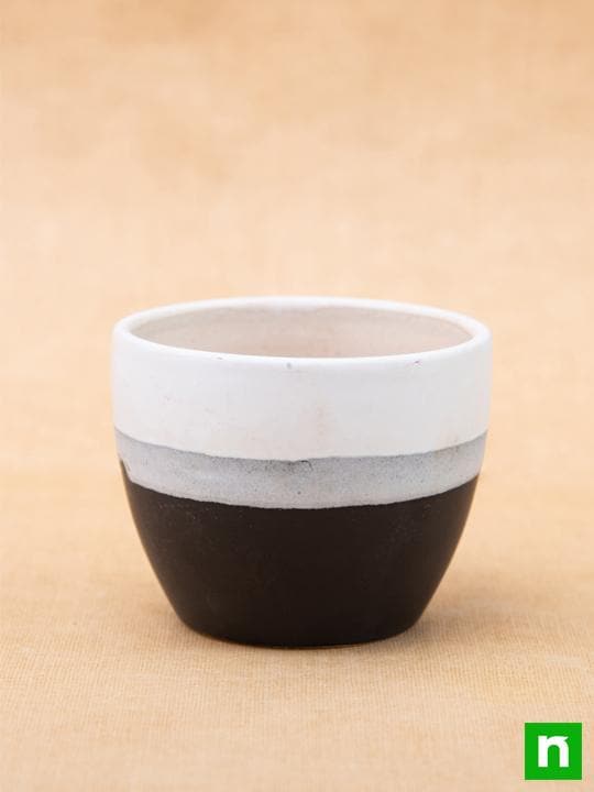 3.7 inch (9 cm) Round Egg Ceramic Pot with Plate (White, Black) (Set of 2)