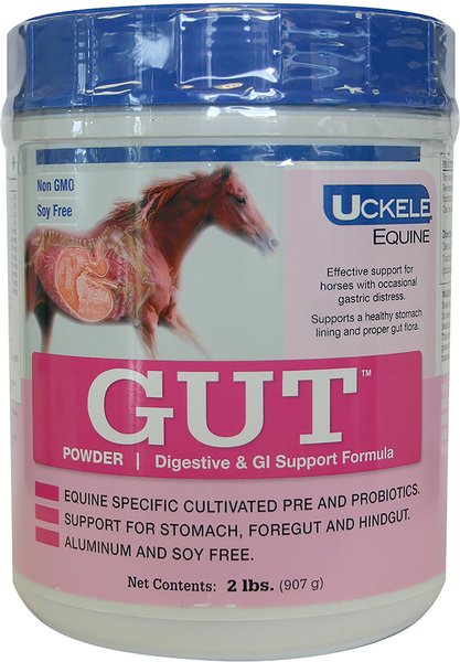 Uckele Gut Digestive and GI Support Formula Powder Horse Supplement， 2-lb jar