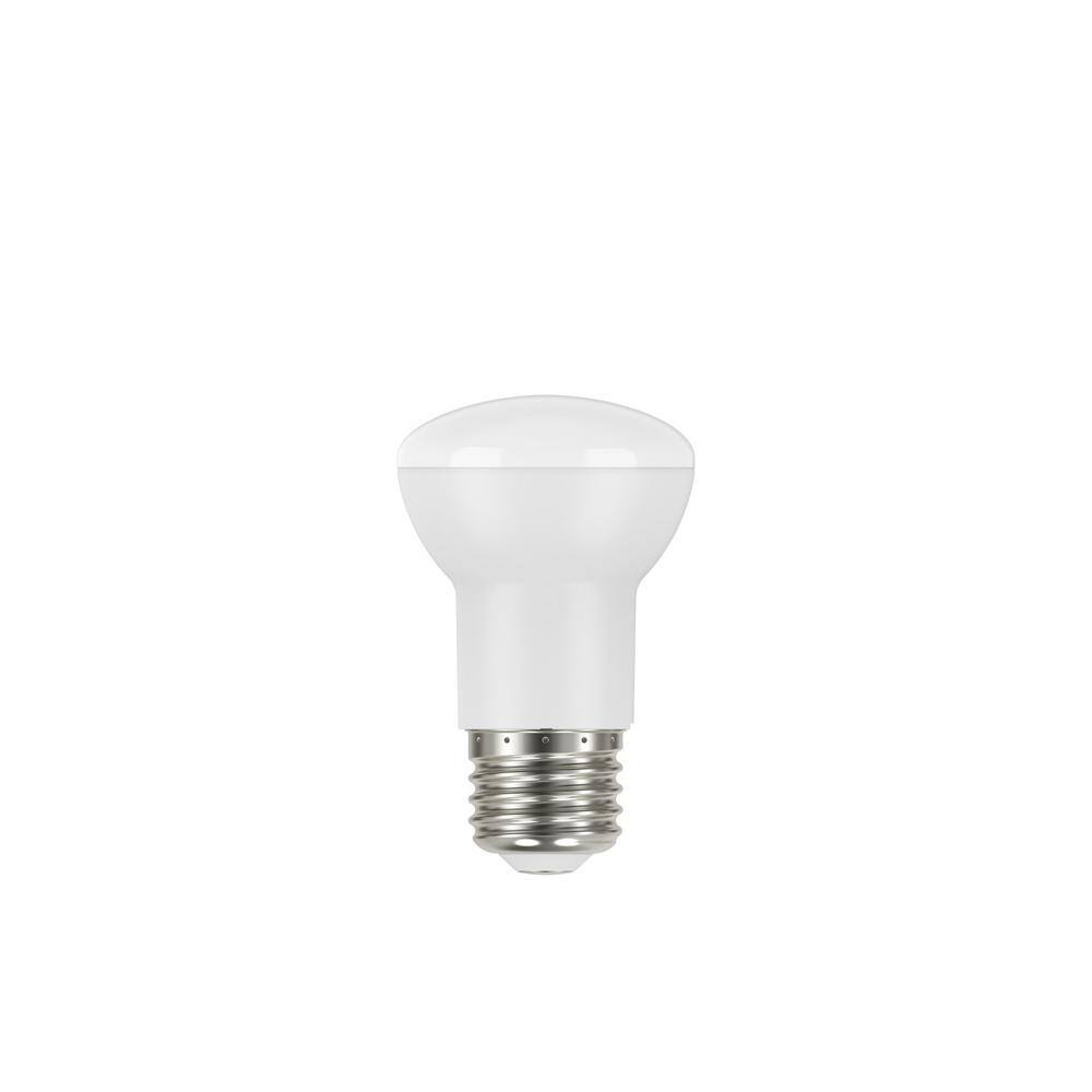 EcoSmart 100-Watt Equivalent R20 CEC Dimmable LED Light Bulb in Soft White (1-Bulb) A20R20100WT2001