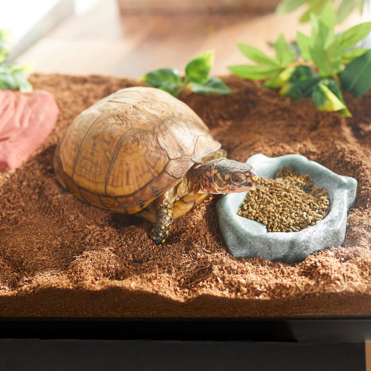 Mazuri Small Tortoise LS (Low Starch) Food