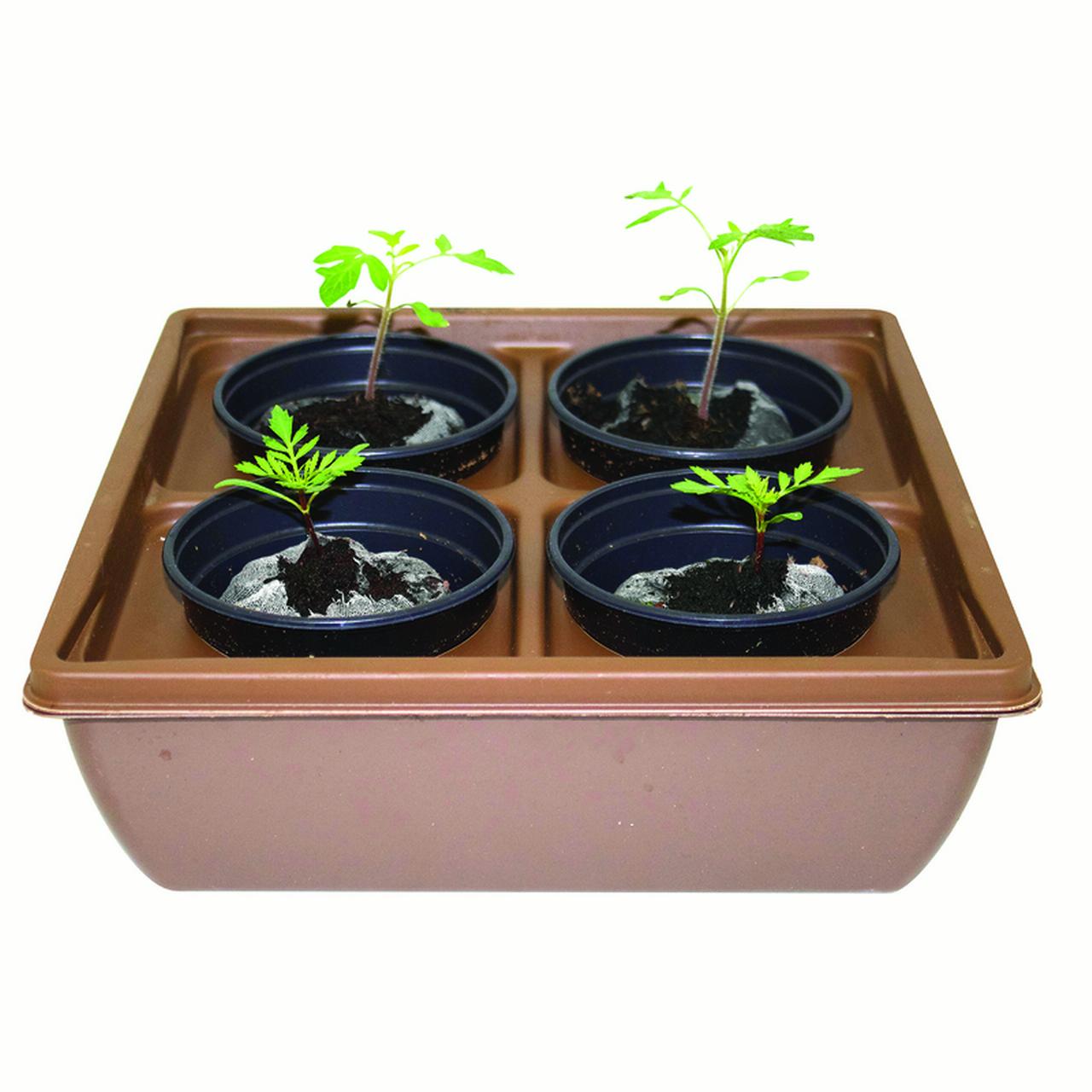 Jiffy Hydro Hydroponic Growing System