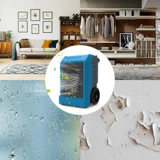 Edendirect 230 pt. 8000 sq.ft. Bucketless Commercial Dehumidifier in Blue with Drain Hose Rotomolded Case WE-OL230SP