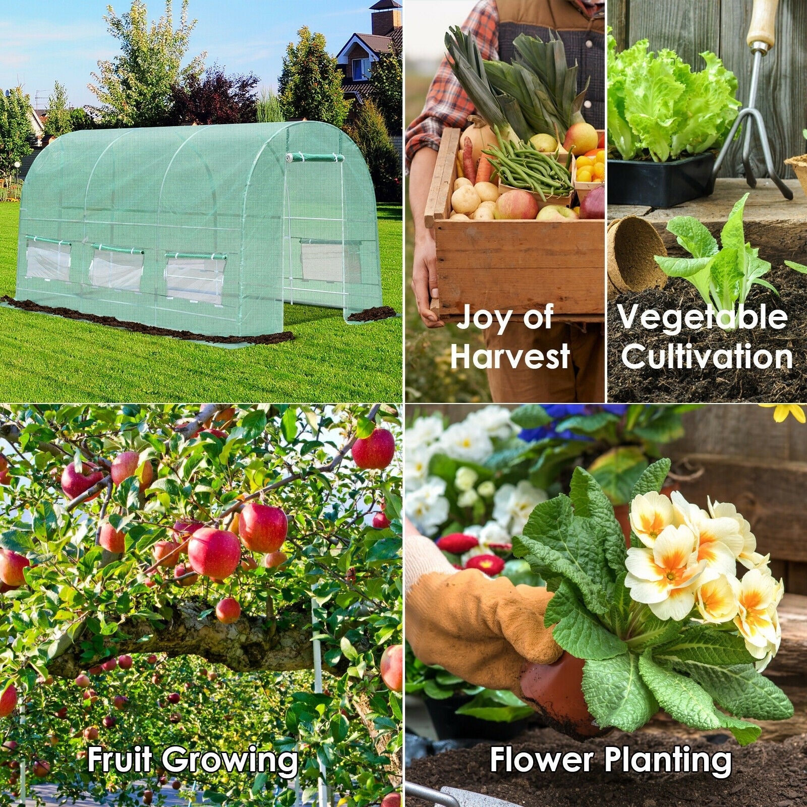 Portable Steel Frame Walk-in Greenhouse with 6 Windows