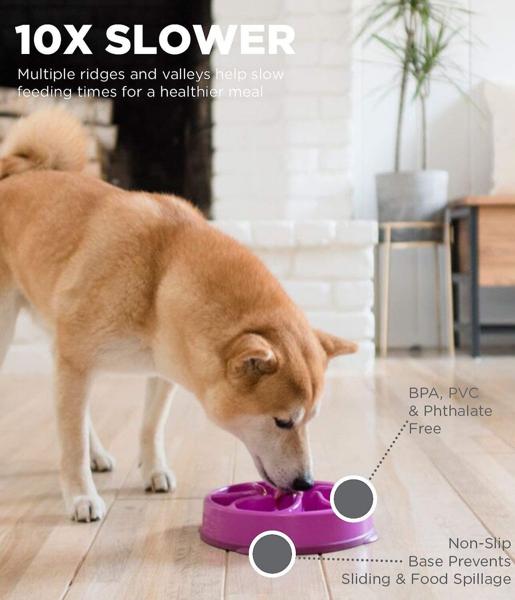 Outward Hound Fun Feeder Interactive Dog Bowl， Purple