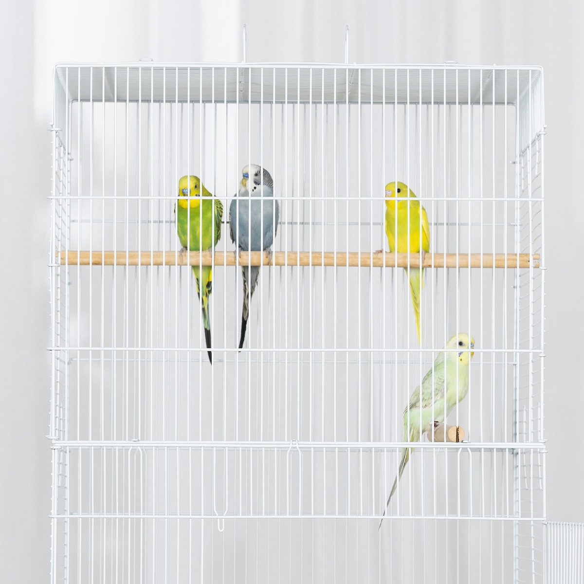 Prevue Pet Products Tall Tiel Bird Cage