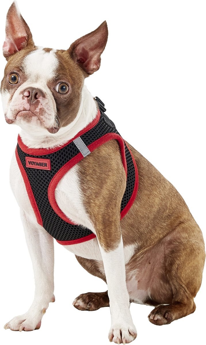 Best Pet Supplies Voyager Black Base Mesh Dog Harness