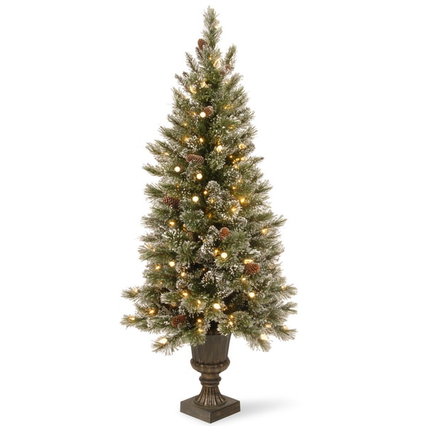 National Tree Company 5 ft. Glittery Bristle Entrance Tree with Warm White LED Lights