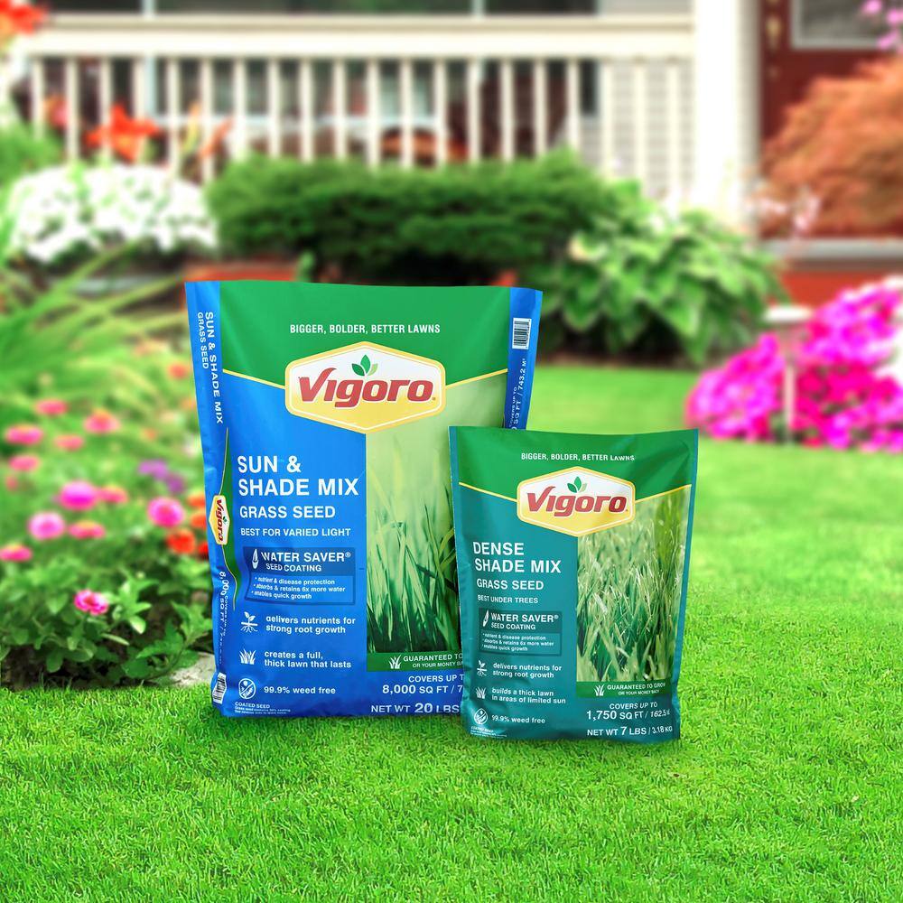 Vigoro 20 lbs. Sun and Shade Grass Seed Mix with Water Saver Seed Coating 25687