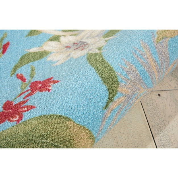 Aqua Indoor outdoor Area Rug By Nourison