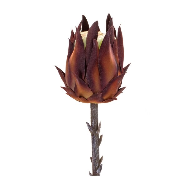 Protea Stem (Set of 6)