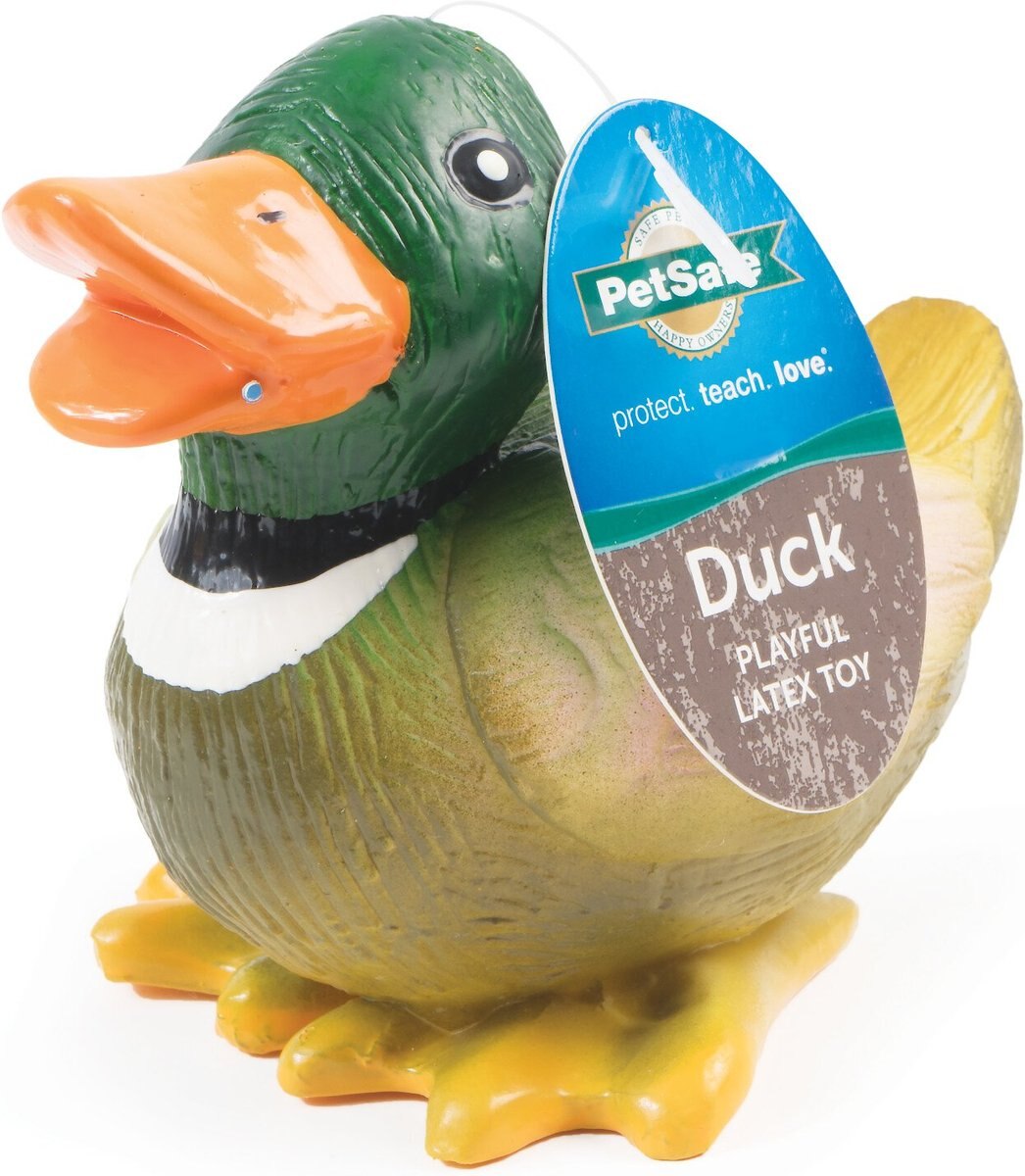 PetSafe Busy Buddy Latex Meeze Duck Squeaky Dog Toy